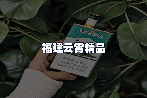 福建云霄精品